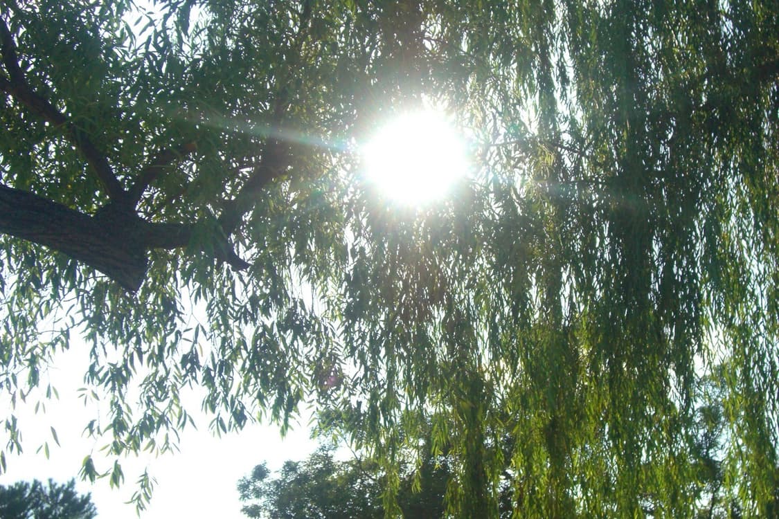 카시오 엑슬림 z1000 EX-z1000 상품이미지5