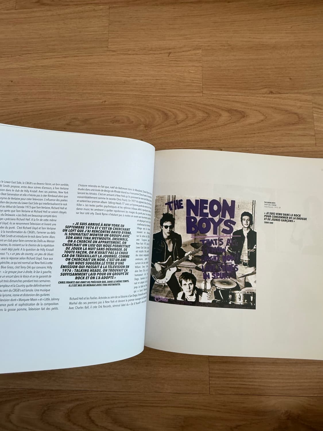 수입 도서) Punk Vinyls 상품이미지3