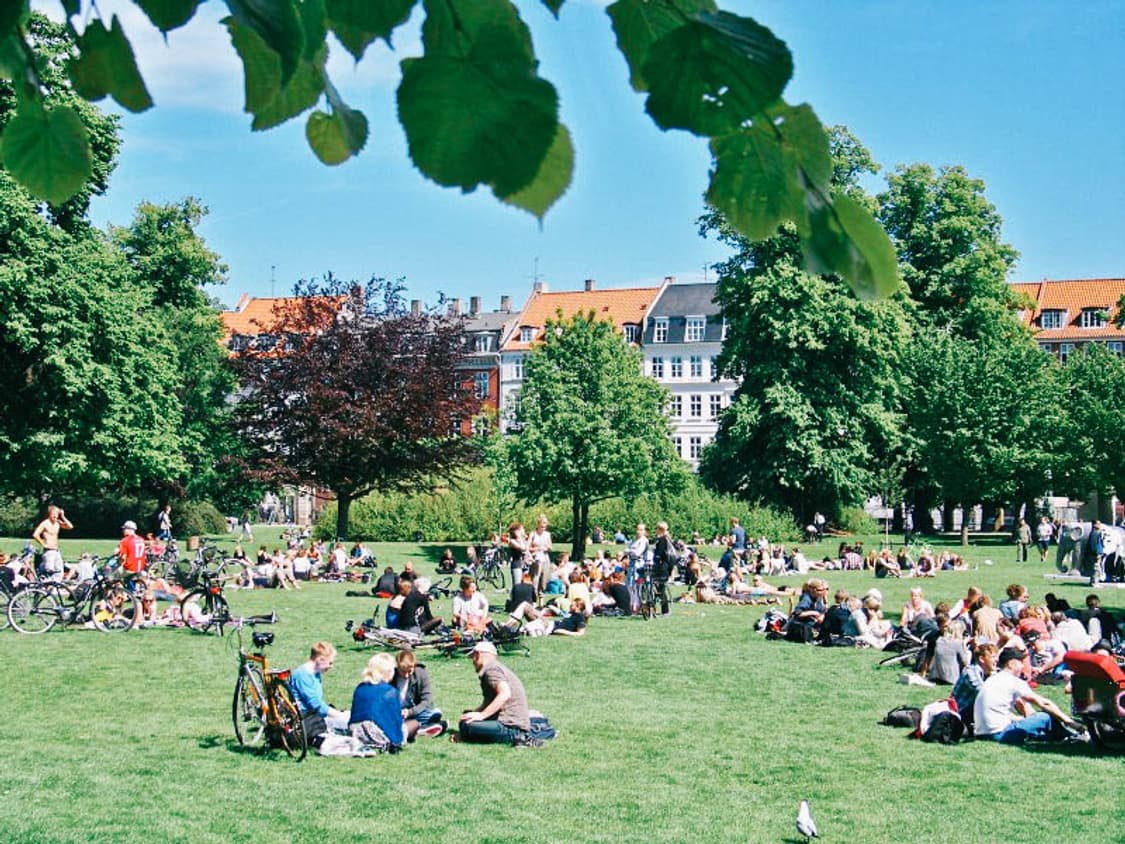 Fujifilm FinePix A605 (후지필름 파인픽스 A605) 상품이미지8