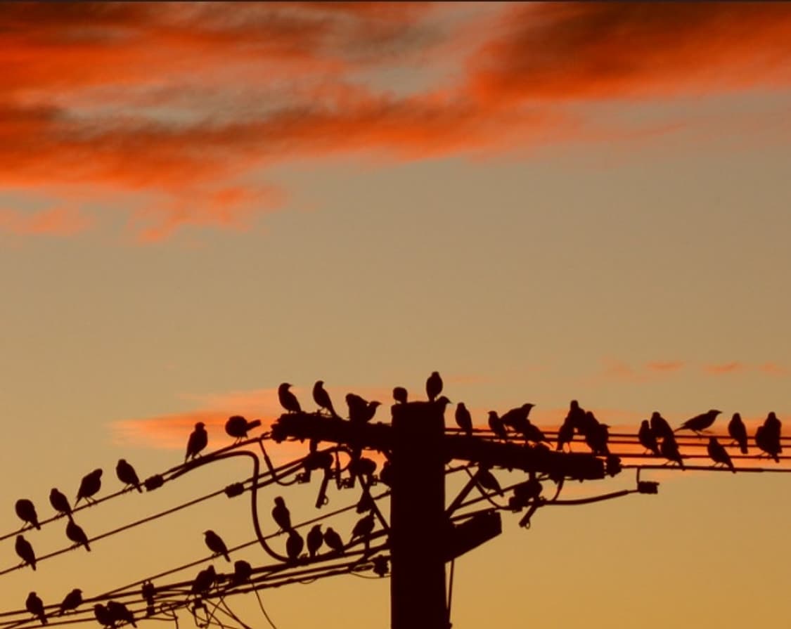 📸 삼성 WB550 🔥 줌 괴물 감성 디카 상품이미지9