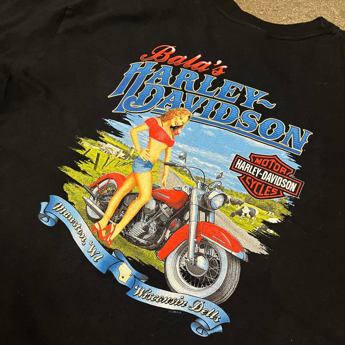 할리데이비슨 플레임 이글 티셔츠 (110) 상품이미지4