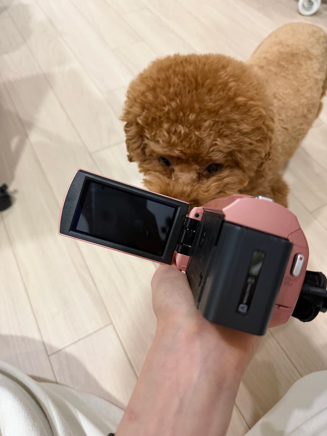 SONY 소니 CX670V 32GB 레트로 감성 빈티지 비디오 카메라 상품이미지5