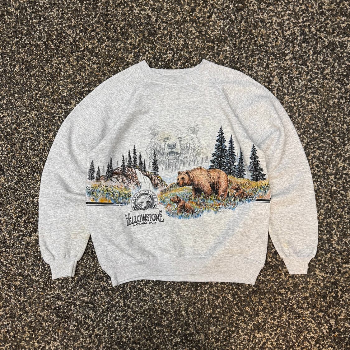 90s 헤인즈 스웻셔츠 맨투맨 made in USA (L)   상품이미지1