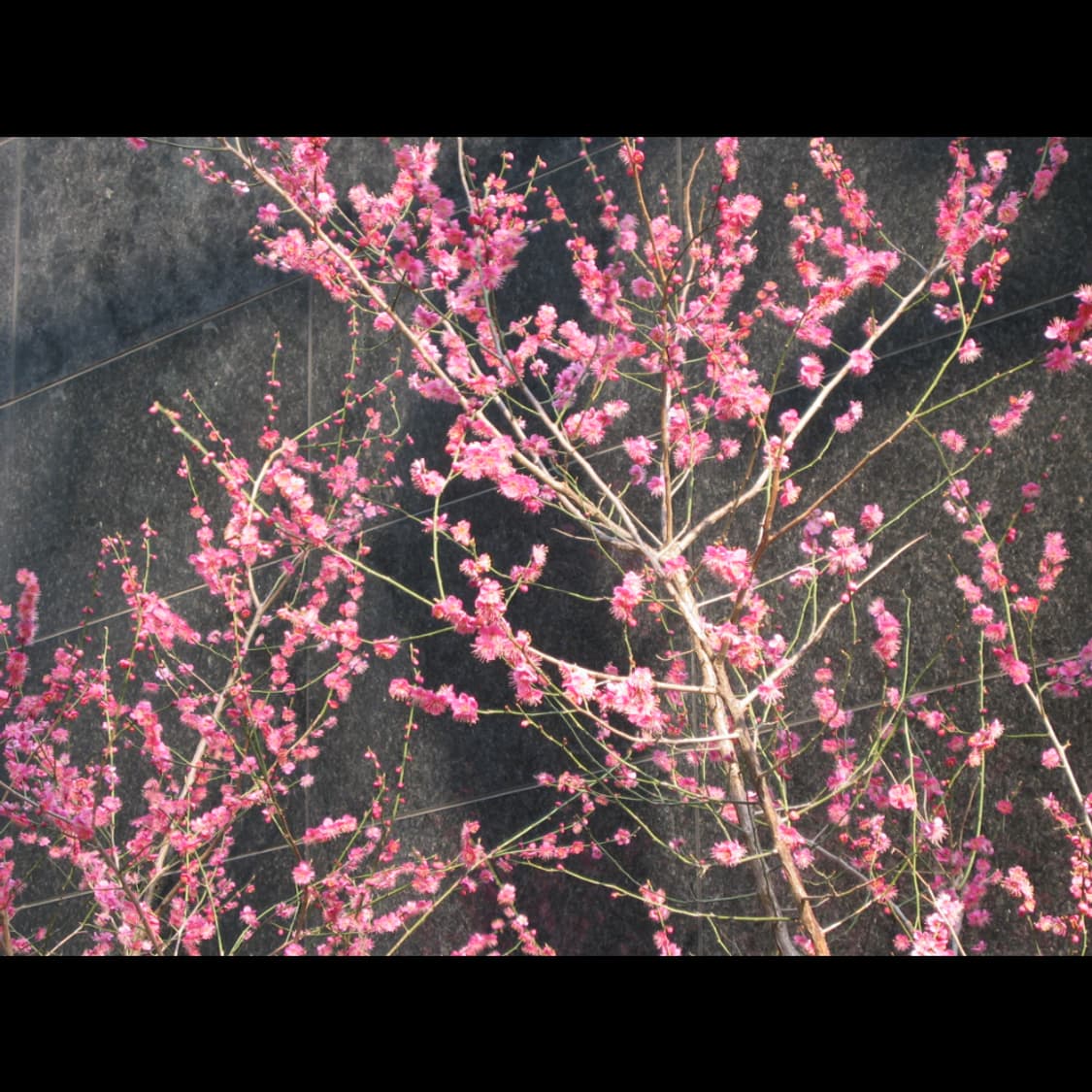 작례⭕️ 캐논 파워샷 S45 상품이미지5