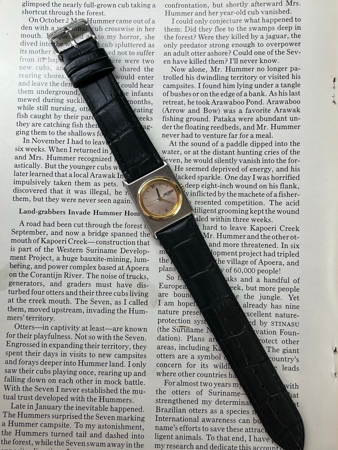 Seiko Junko Shimada Quartz 상품이미지3