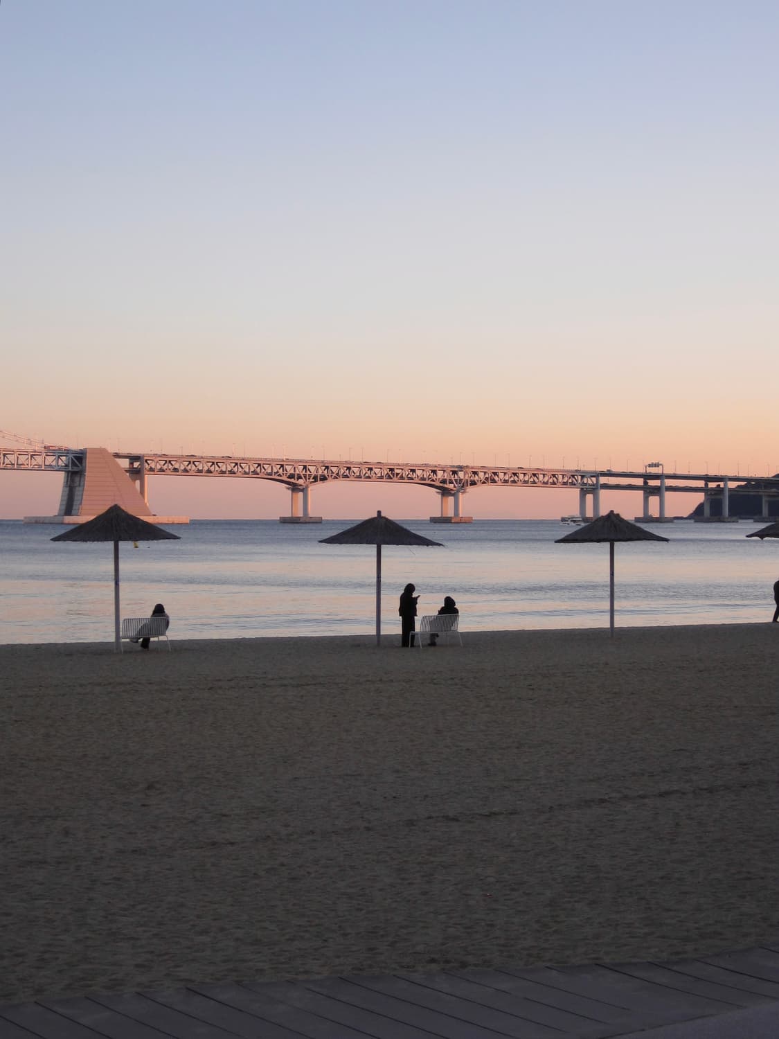 민트급) canon lxus 95 is + 작례 포함 상품이미지4