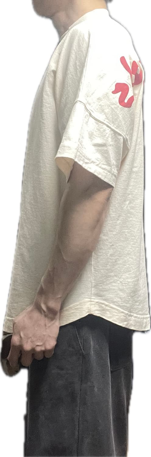 팜엔젤스 캘리포니아 티셔츠 착샷 있음 상품이미지8