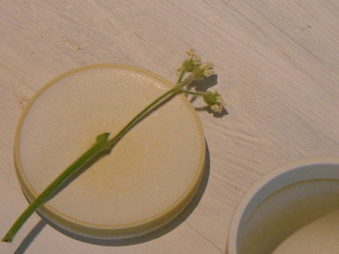 (초레어) xacti j4 상품이미지4