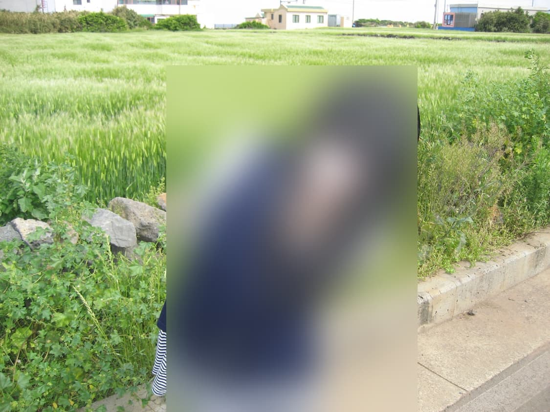 작례(0) 캐논 익서스 65 디카 canon ixus 65 상품이미지9