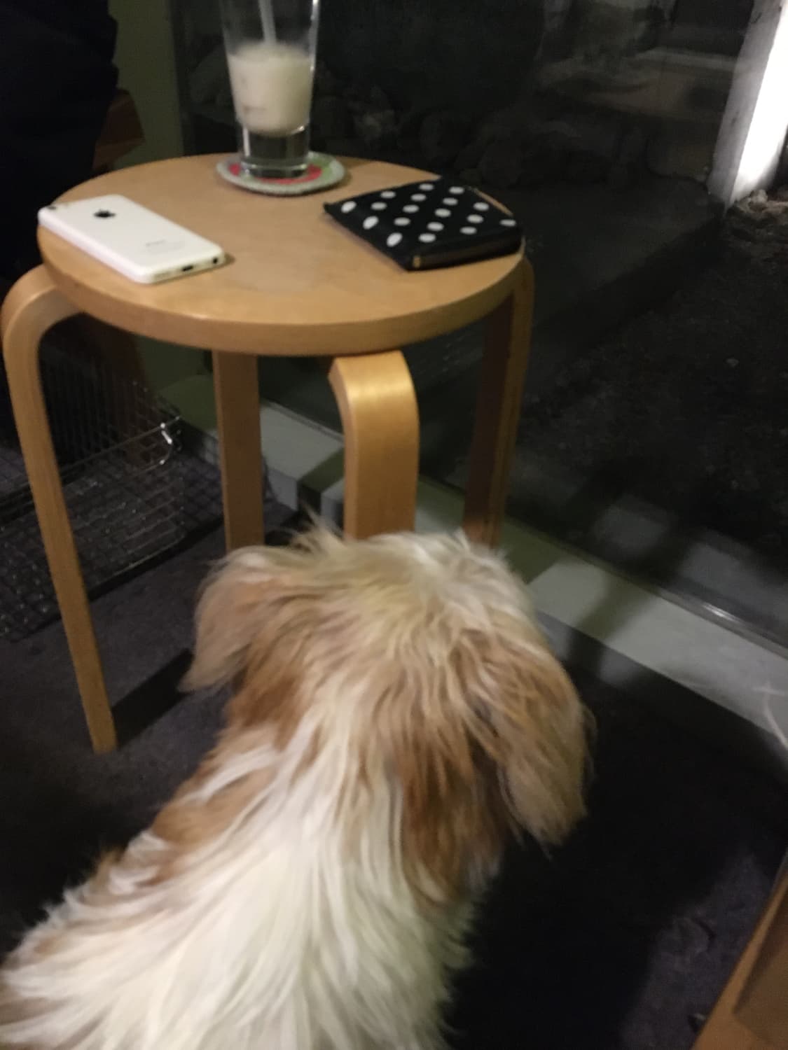 꼼데가르송 도트 지갑 상품이미지5