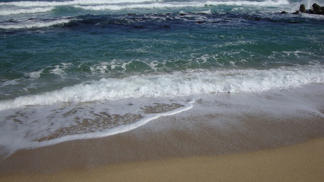 소니 사이버샷 dsc w220 핑크 풀구성 상품이미지3