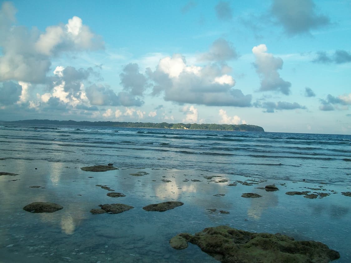 코닥 이지쉐어 C180 실버 Kodak Easyshare C180  상품이미지9