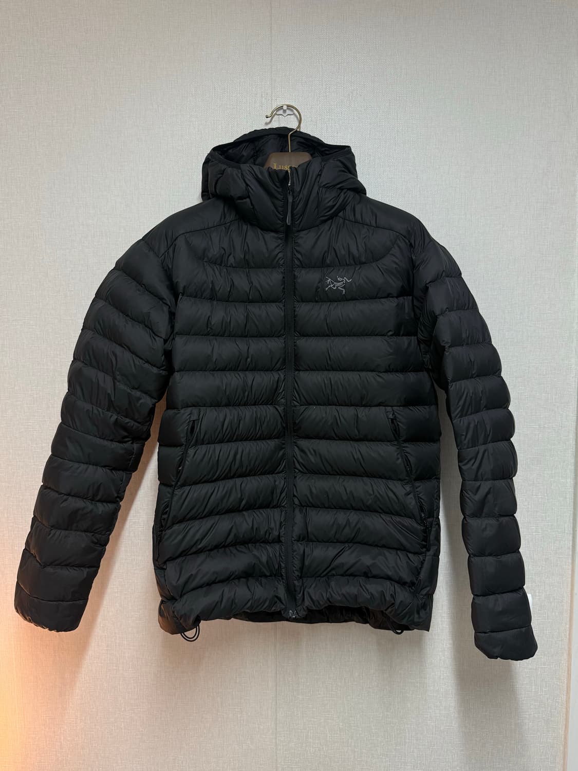 아크테릭스 세륨 L 상품이미지1