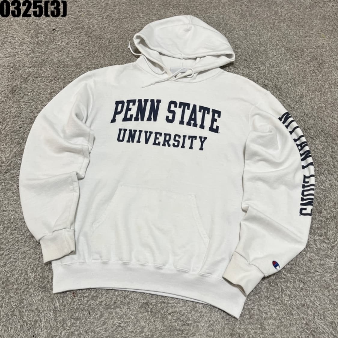 챔피온 후드티 상품이미지1