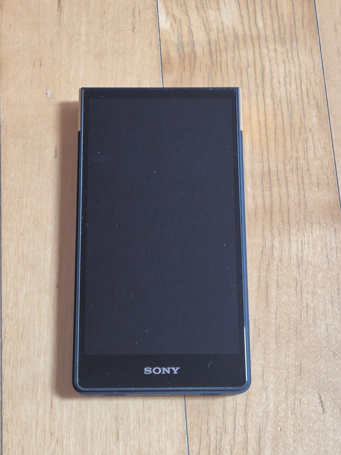 소니 워크맨 ZX-707 DAP zx707 상품이미지3