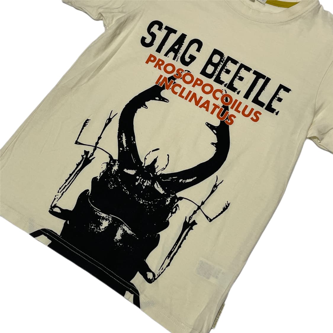 사슴벌레 티셔츠 상품이미지3