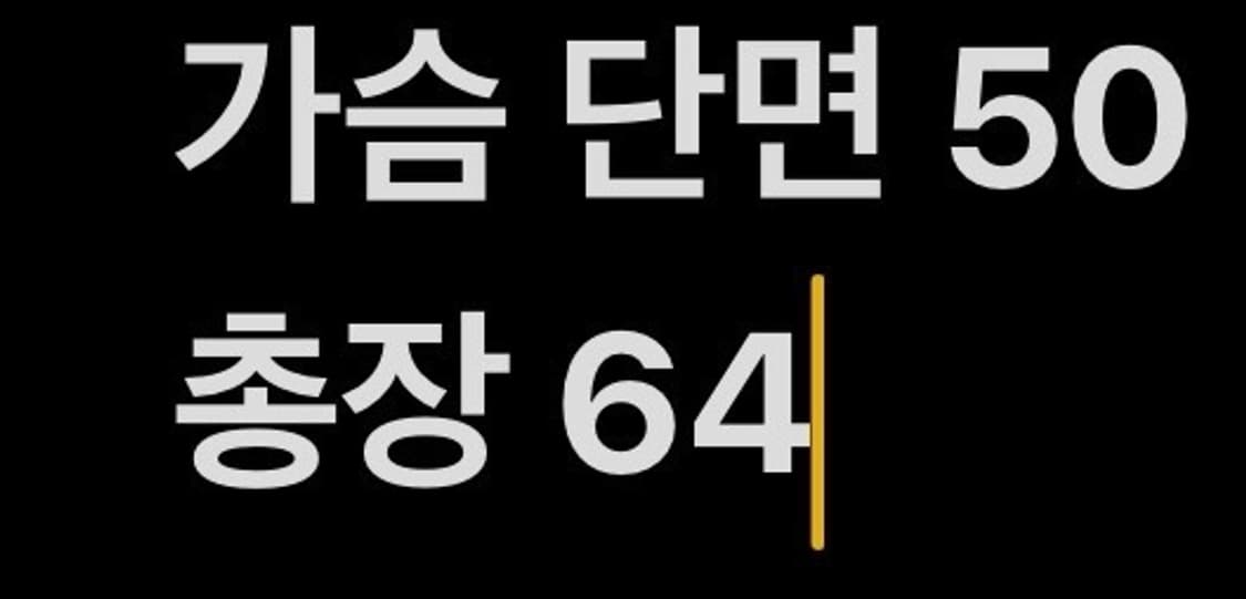 [정품/90,L] 나이키 에어로로프트 경량패딩조끼 b16 상품이미지6
