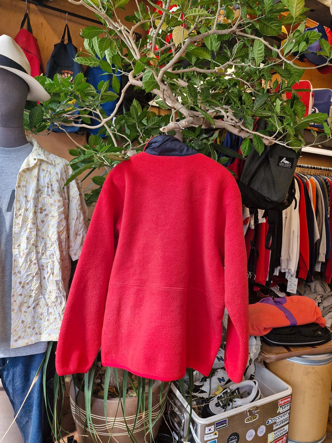 Z-495 파타고니아 신칠라 마수피얼  상품이미지2