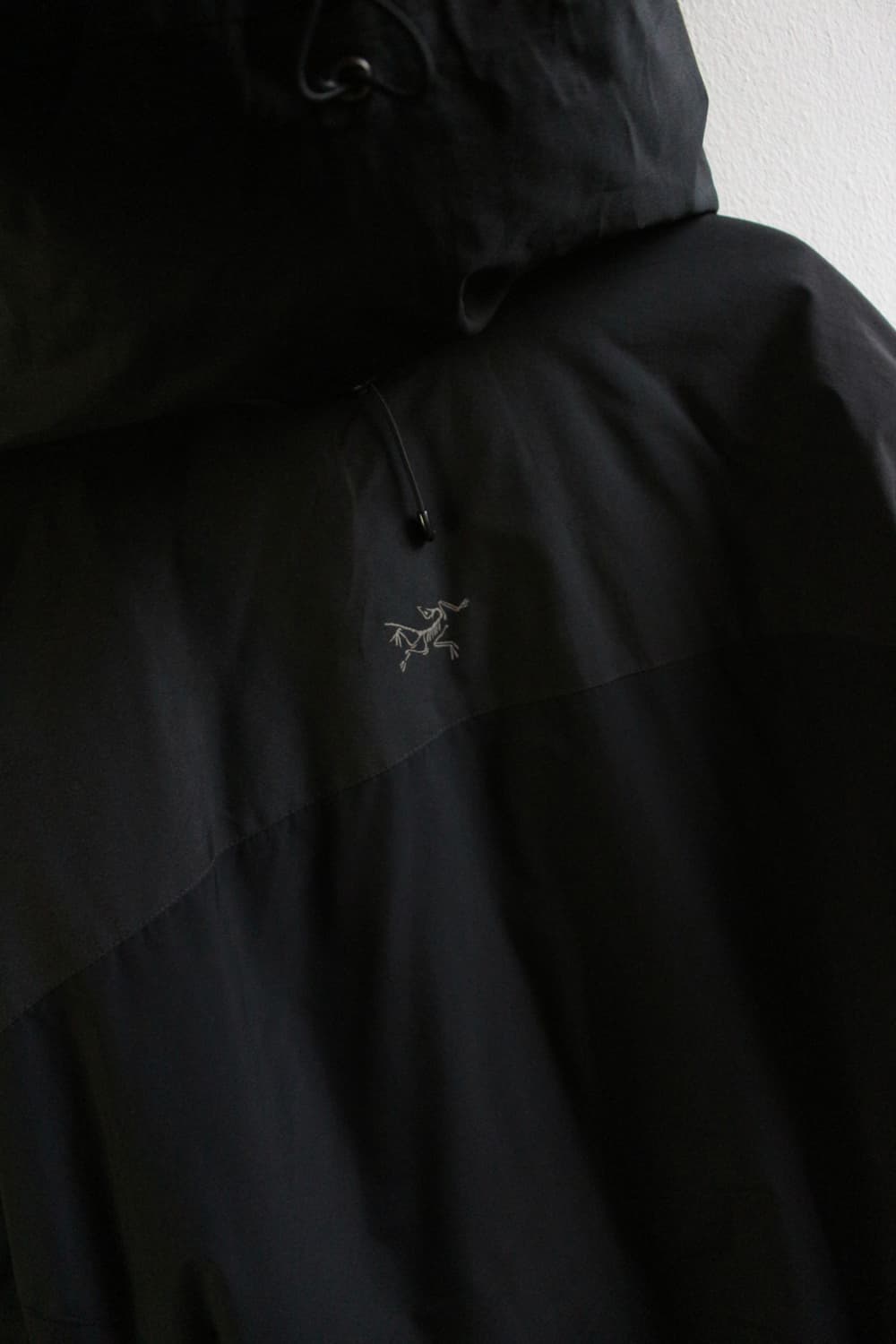 아크테릭스 피션 LT 후디 자켓 상품이미지2