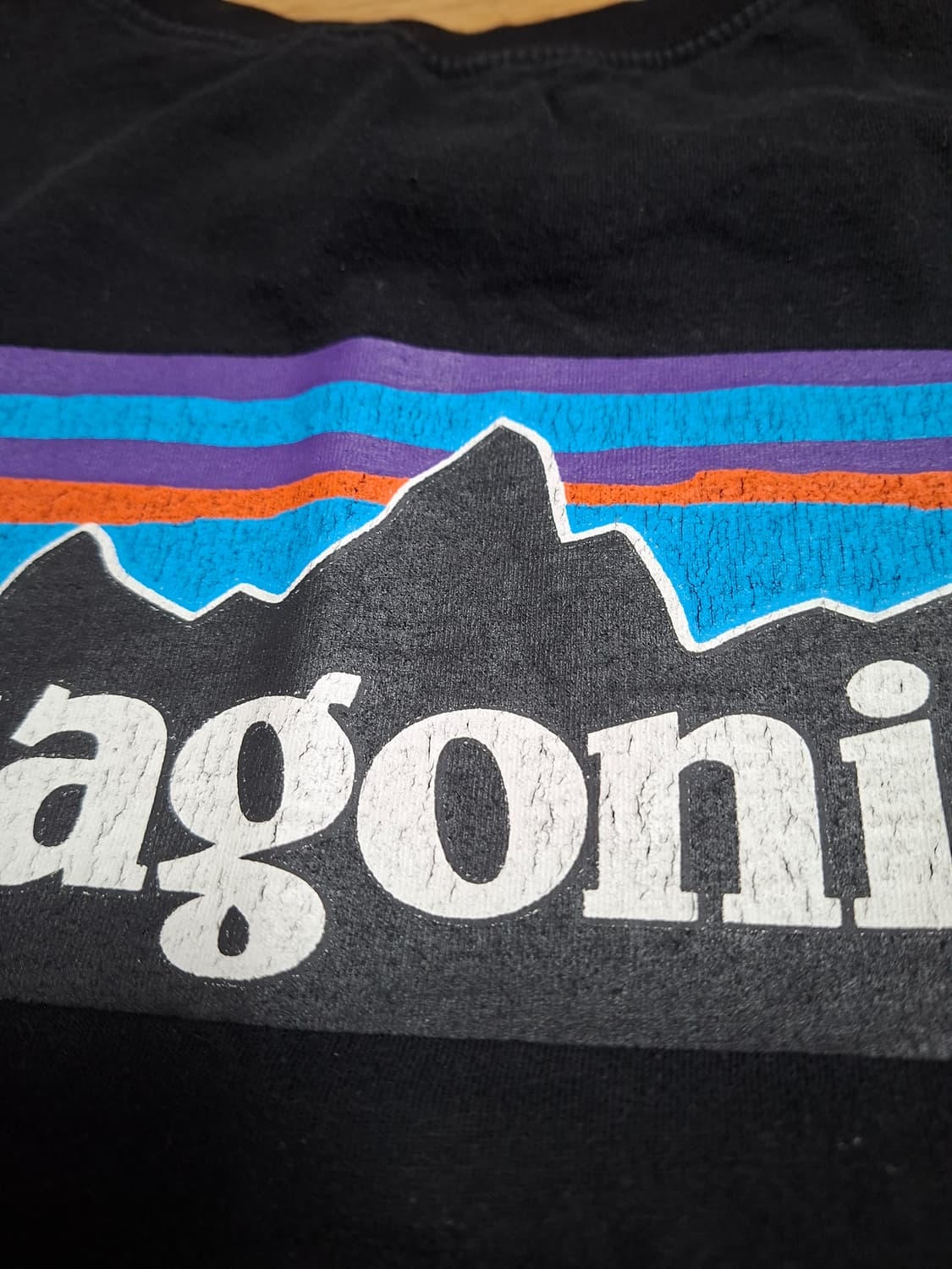 파타고니아 반팔티 상품이미지6