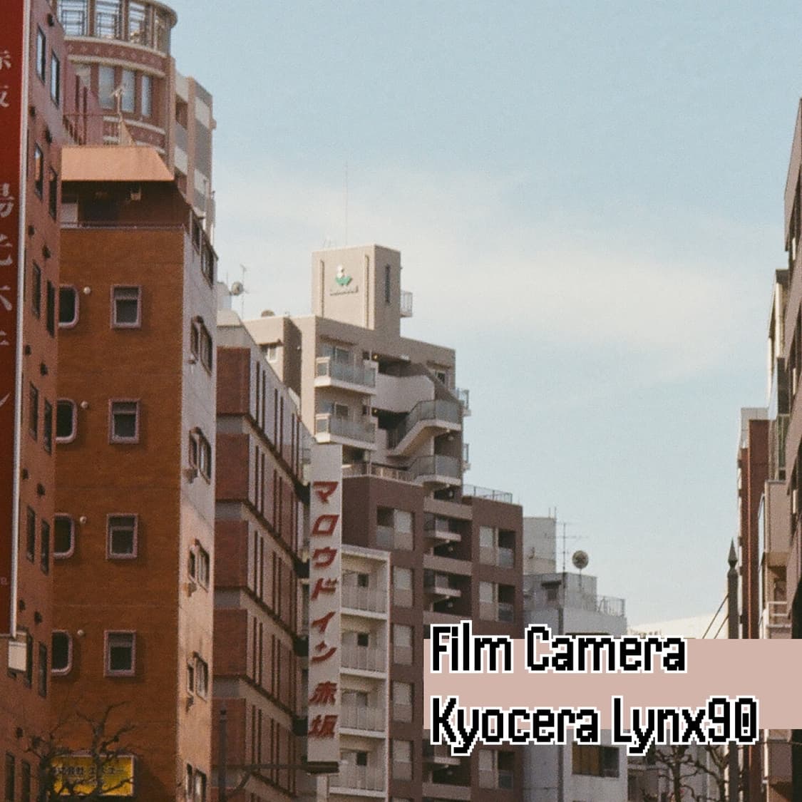 입문용 강추! 교세라 lynx90 링스90 린스90 필름카메라 빈티지필카 상품이미지3