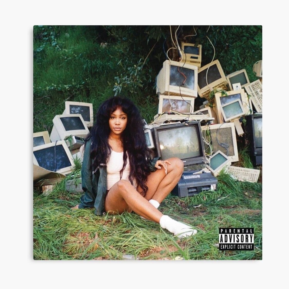 새상품 SZA ctrl LP viynl 상품이미지1