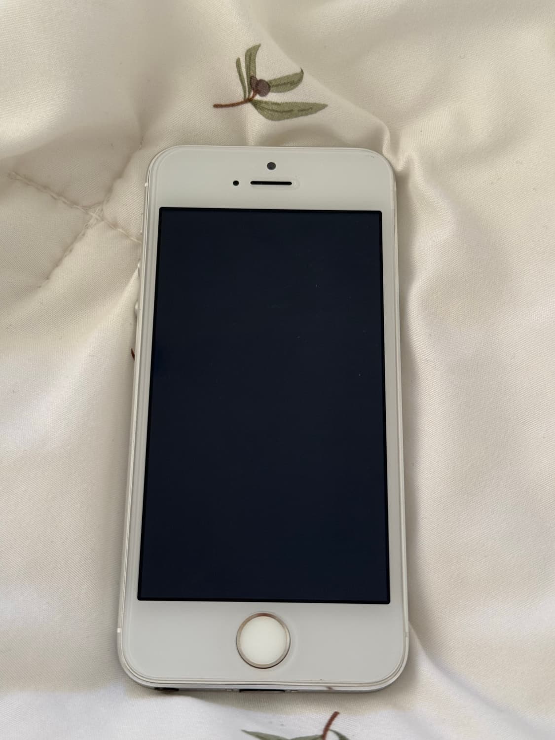 아이폰5s 상품이미지1