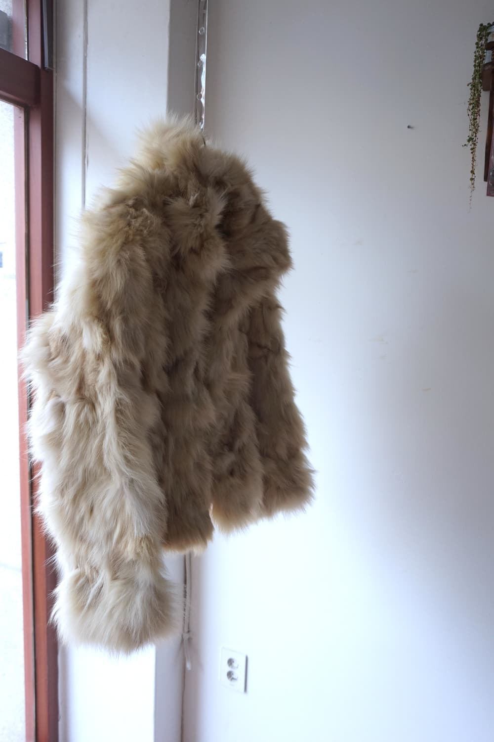 FOX 상품이미지1