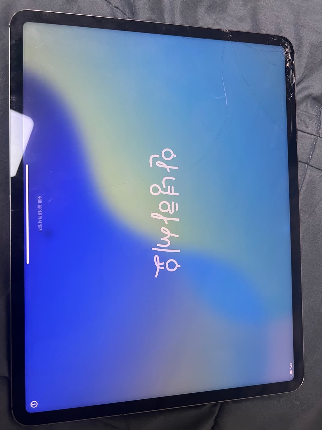 아이패드프로12.9 5세대 셀룰러 256 상품이미지1