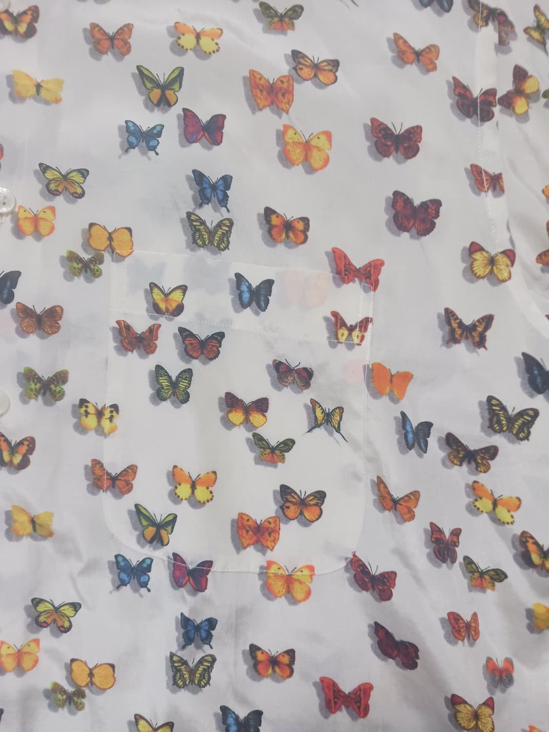 [100] 바찌 버터플라이 프린팅 실크 셔츠 VACCI 상품이미지3