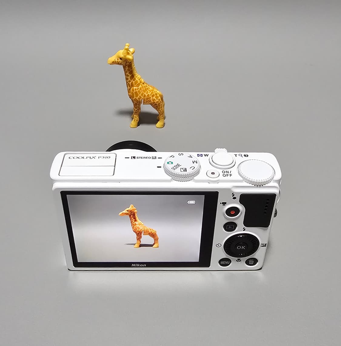 니콘 디카 쿨픽스 P310 (NIKON COOLPIX P310) 상품이미지9