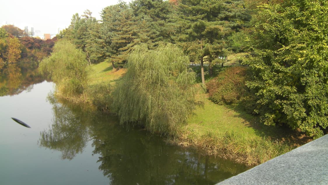 산요작티 cg10 (작례 O)  상품이미지9