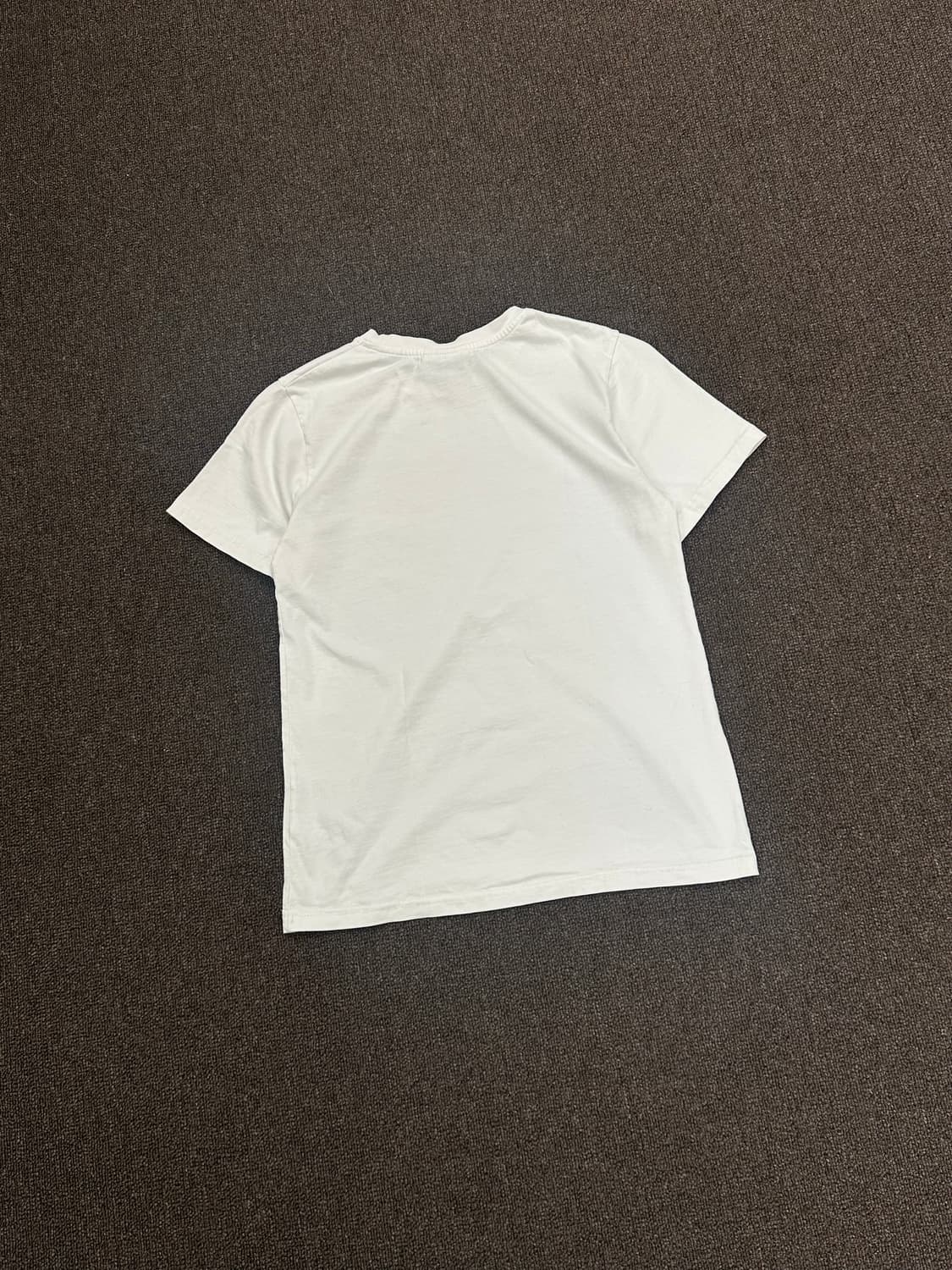 OS)GANNI vintage 여성 그래픽 프린팅 반팔 상품이미지5