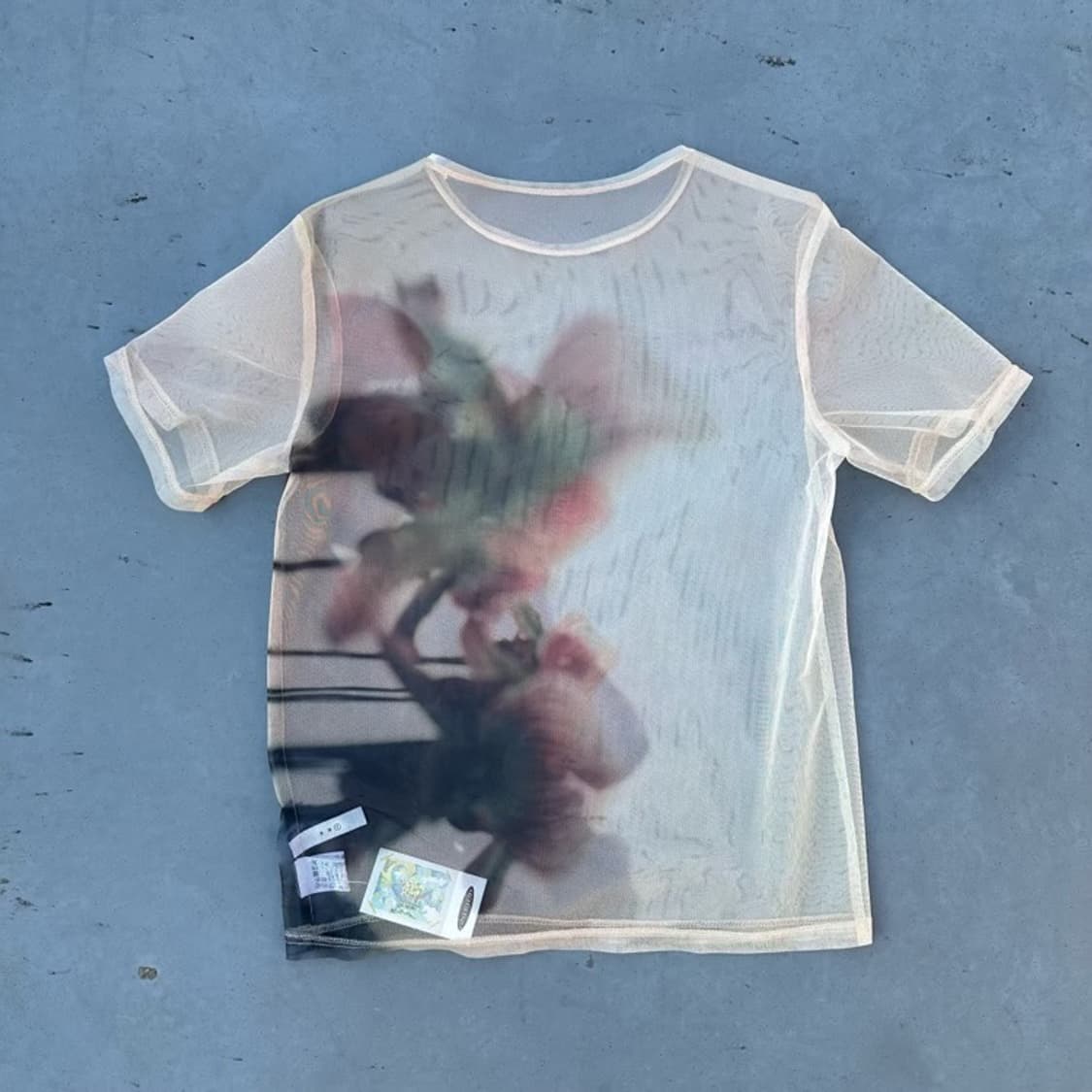 Ameri sheer top 상품이미지2