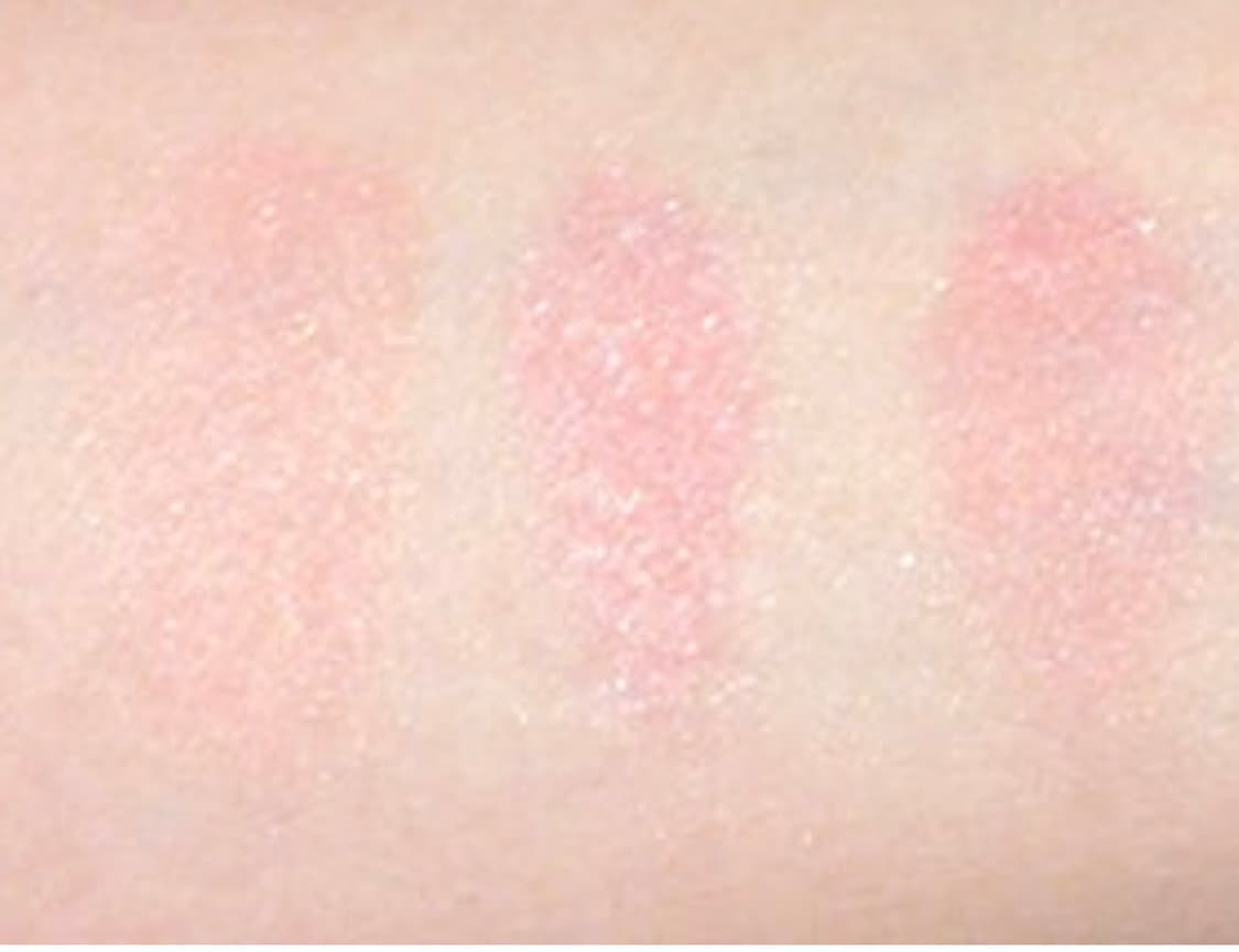 샤넬 한정 블러쉬 은은한 핑크계열 블러셔 치크 소프트 글로우 상품이미지5