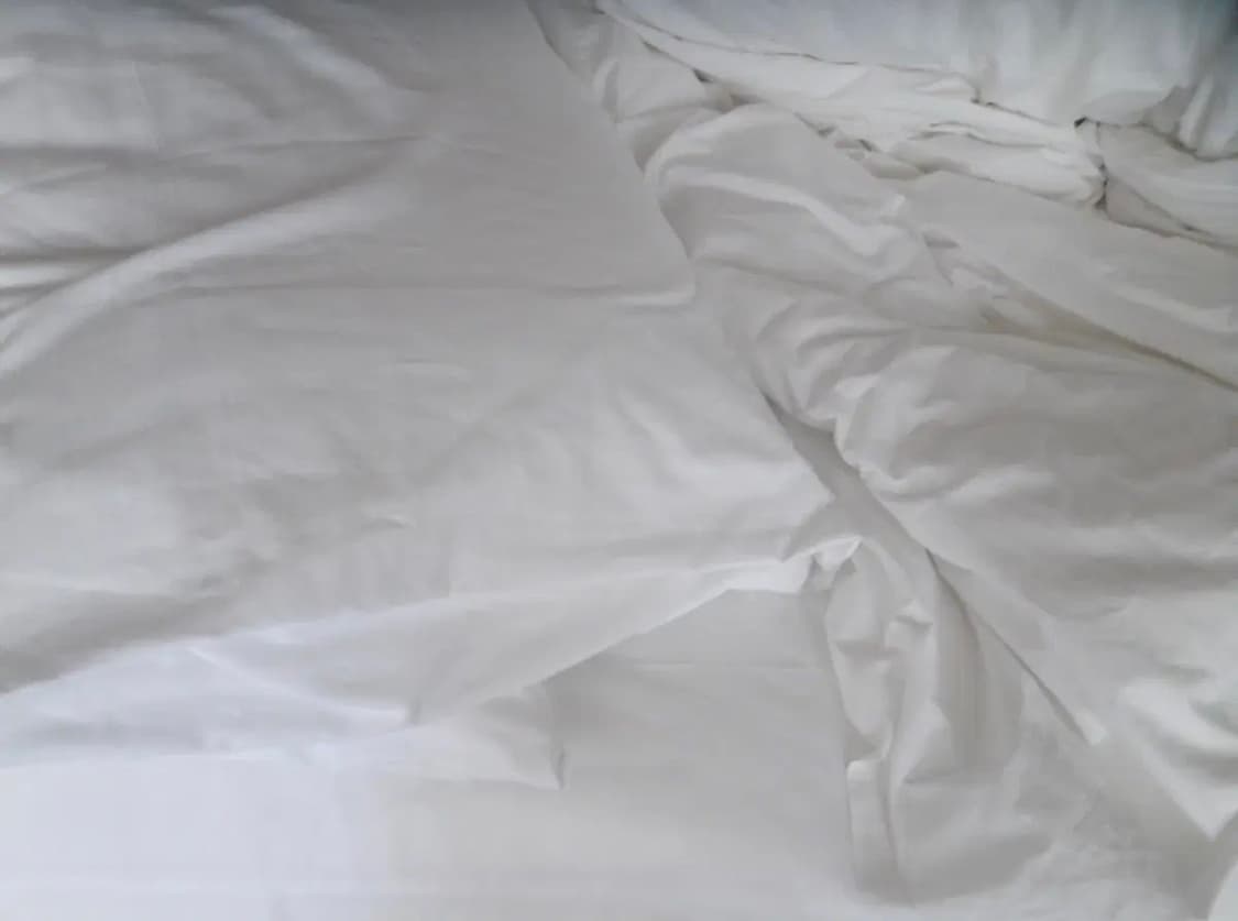 올림푸스 뮤 5010 레트로 디카 디지털카메라 상품이미지4