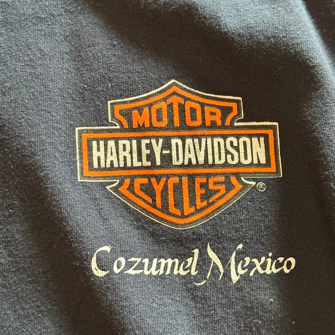 00s Harley-Davidson Skull & Axe - 2XL 상품이미지3