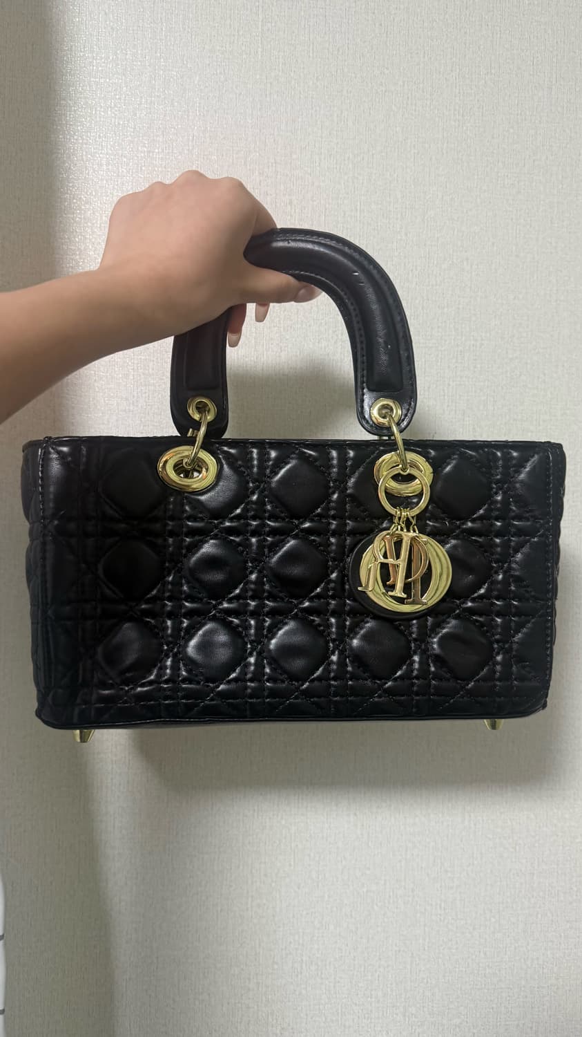 디올 레이디백 상품이미지1