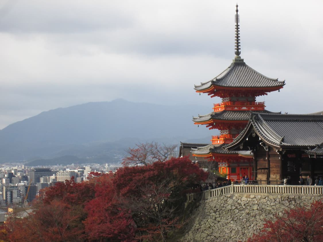 캐논 파워샷 A2400IS 빈티지 디카 판매합니다 상품이미지8