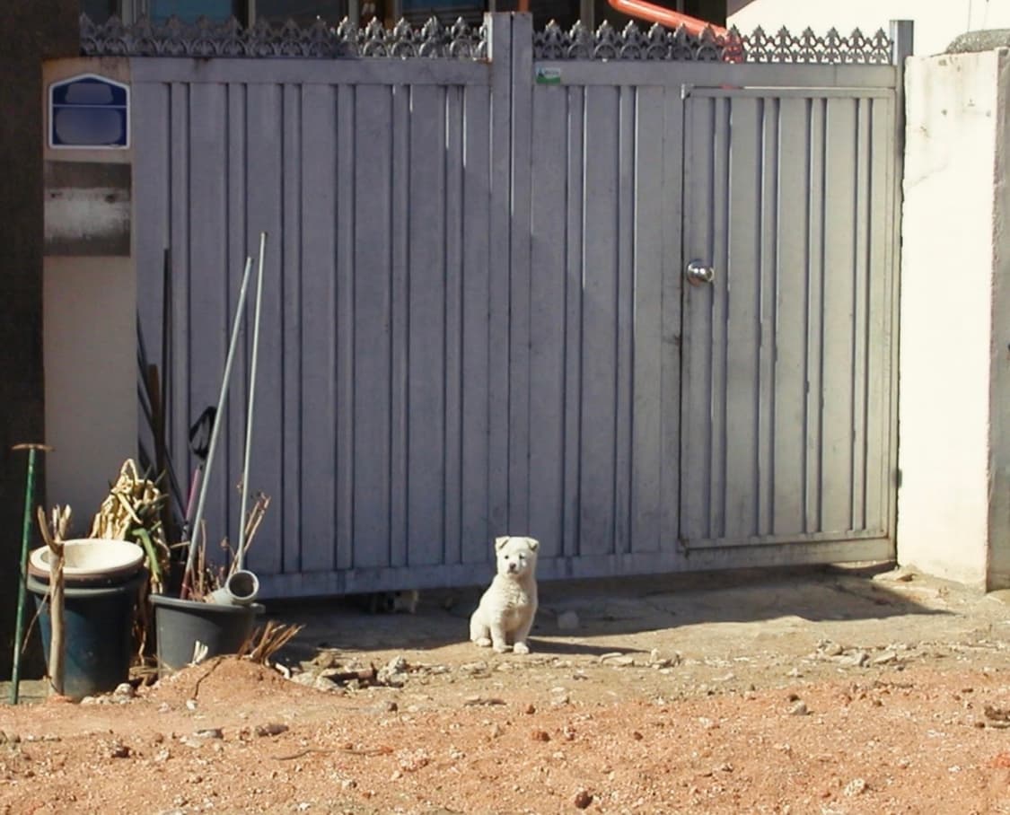 Nikon Coolpix E2500 디카 상품이미지4