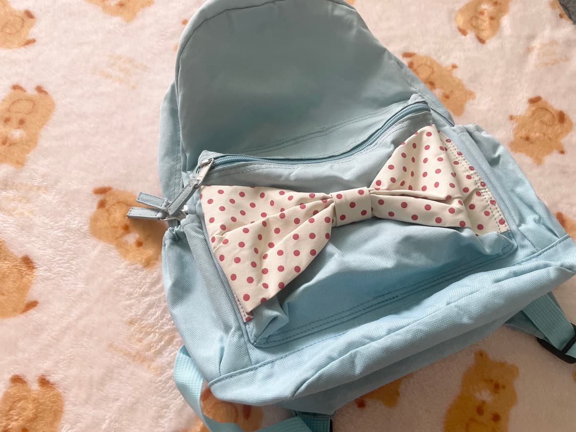 모리걸 빈티지 핀터레스트 도트 리본 백팩 🎀🩵🤍 상품이미지2