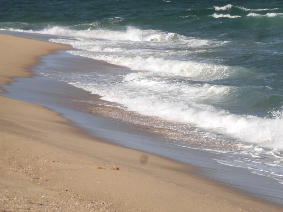 (메이크업/소프트포커스) 카시오 exilim ex-zs190 디지털카메라 상품이미지8