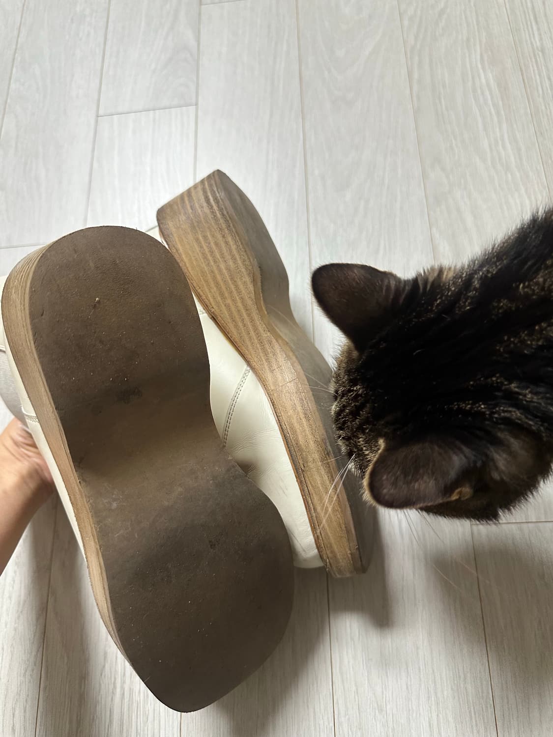 레더부츠 상품이미지3