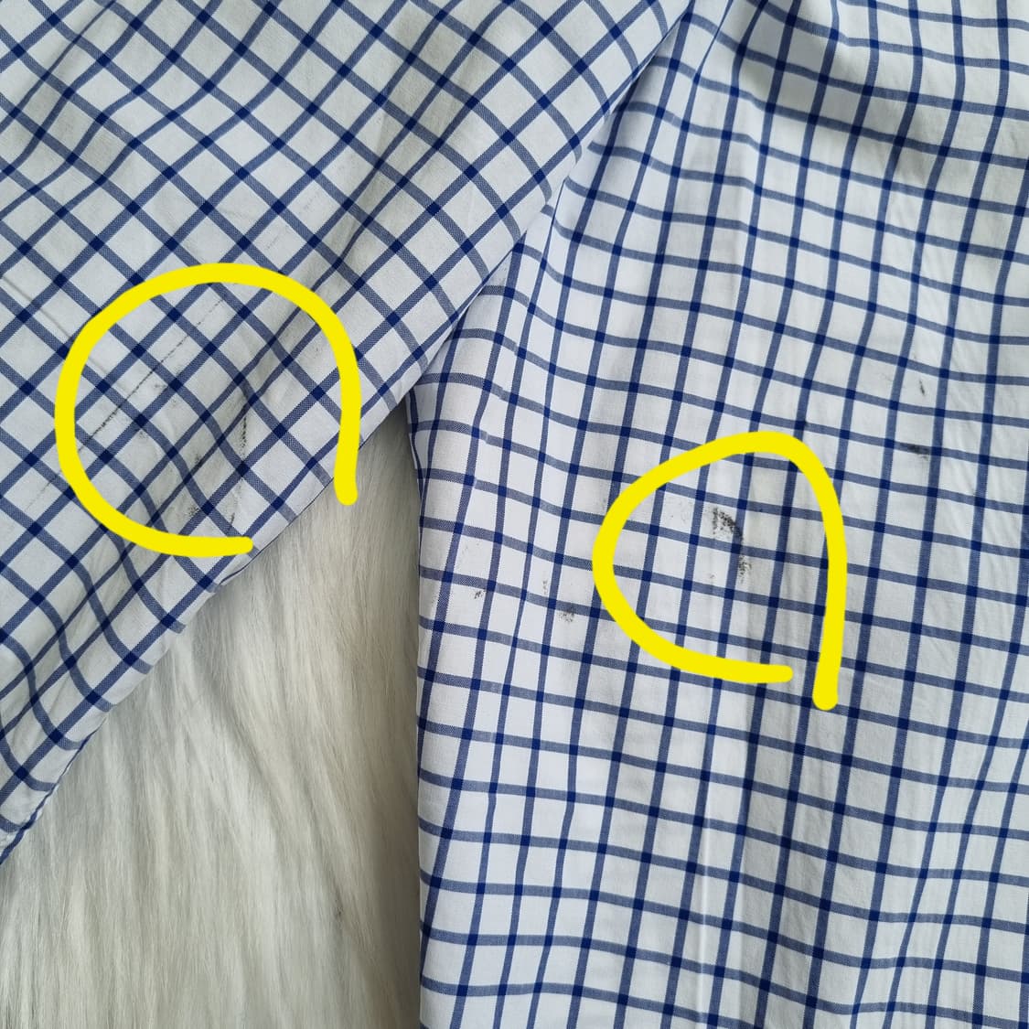 랄프로렌 슬림핏 블루 체크셔츠 1961 상품이미지8