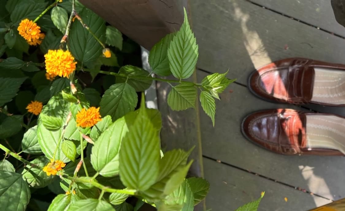 Bally penny loafer 상품이미지4