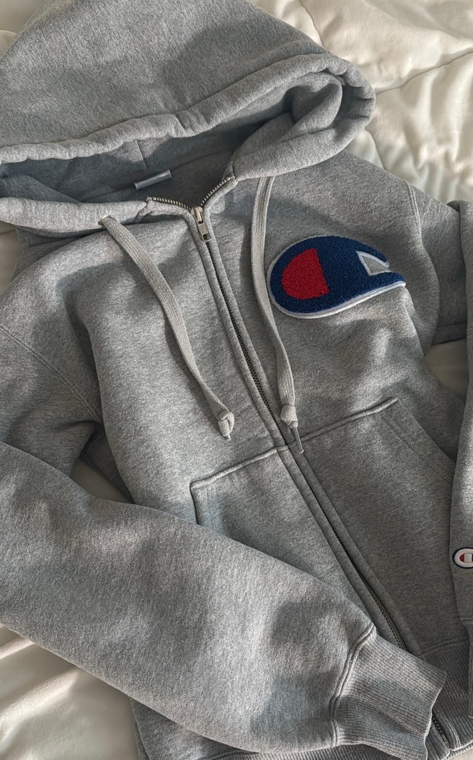 챔피온 빅로고 후드티 상품이미지1