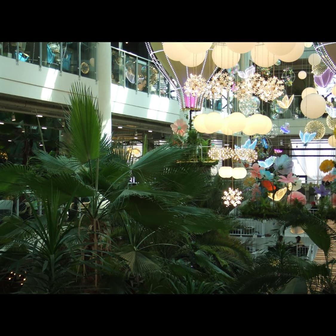 작례⭕️ 후지 파인픽스 Z2 빈티지 디카 디지털카메라 상품이미지5