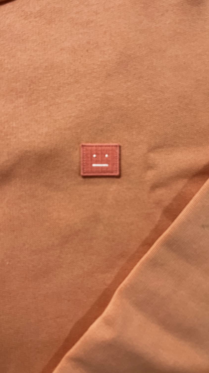 아크네스튜디오 핀트페이스 핑크 맨투맨 m사이즈 상품이미지3