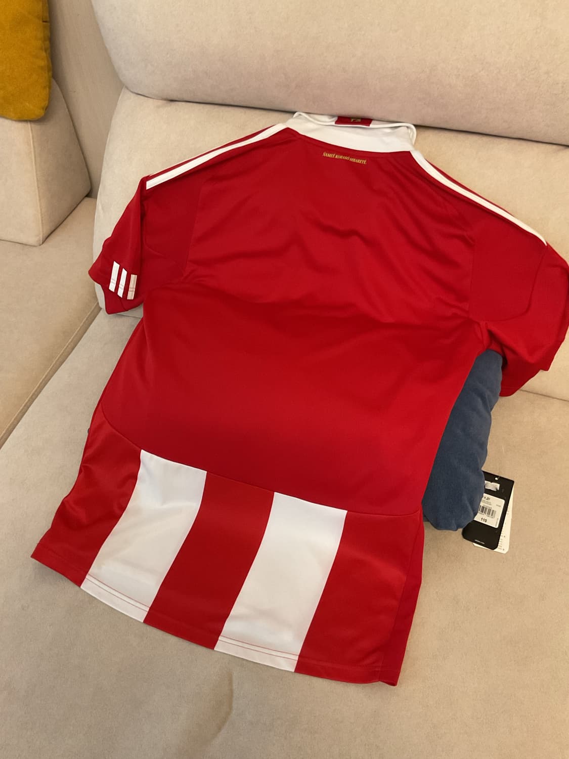 Adidas Paraguay 10/11uniform 상품이미지6