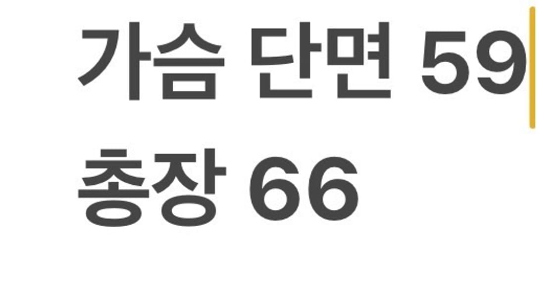 [XL] 롯데 자이언츠 Giants 회색 야구 점퍼 b13 상품이미지8